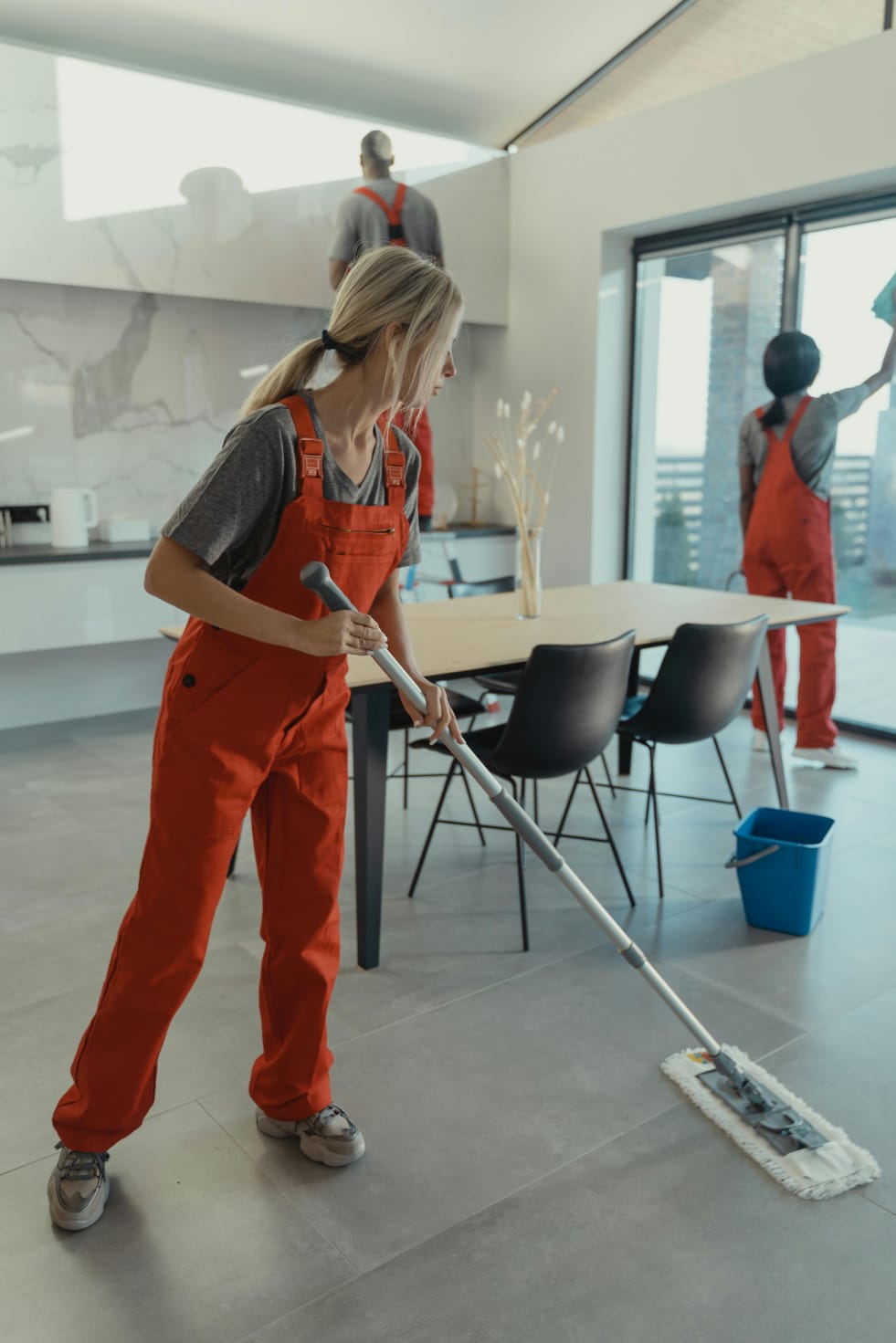 Cleaning & Pest